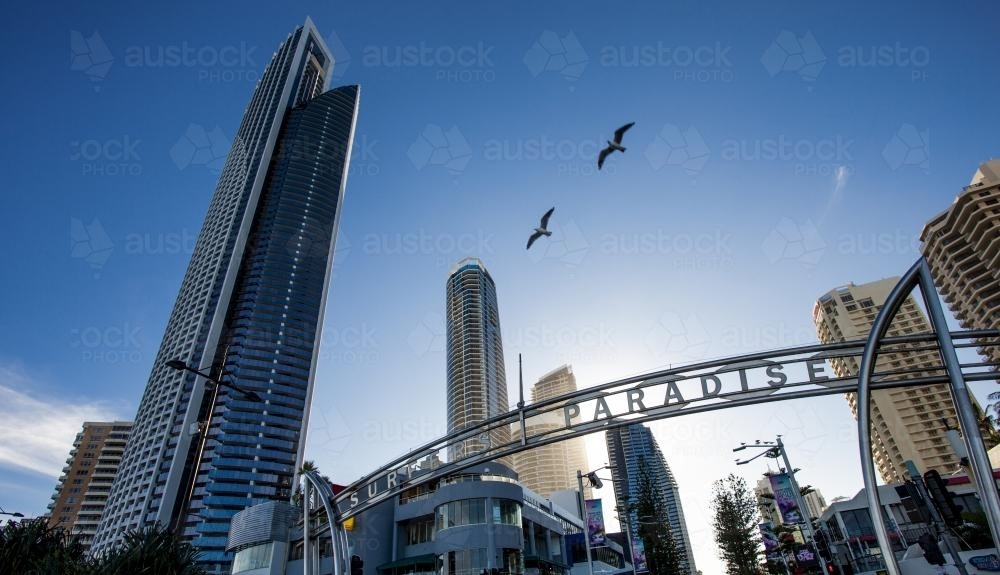Looking up at surfer paradise skyline - Australian Stock Image