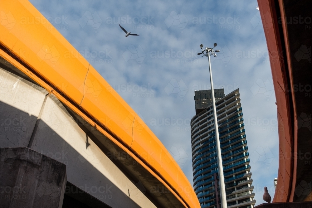 Looking up at Wurundjeri Way Bridge and Bird in City - Australian Stock Image
