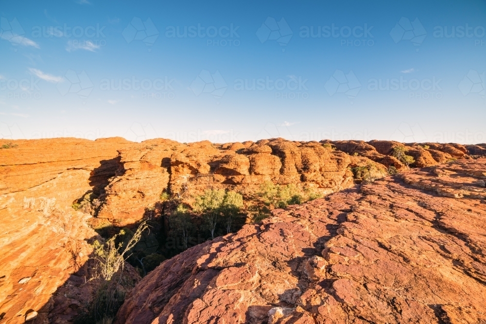 Lookout over the canyon of red arid earth in the bright sun - Australian Stock Image