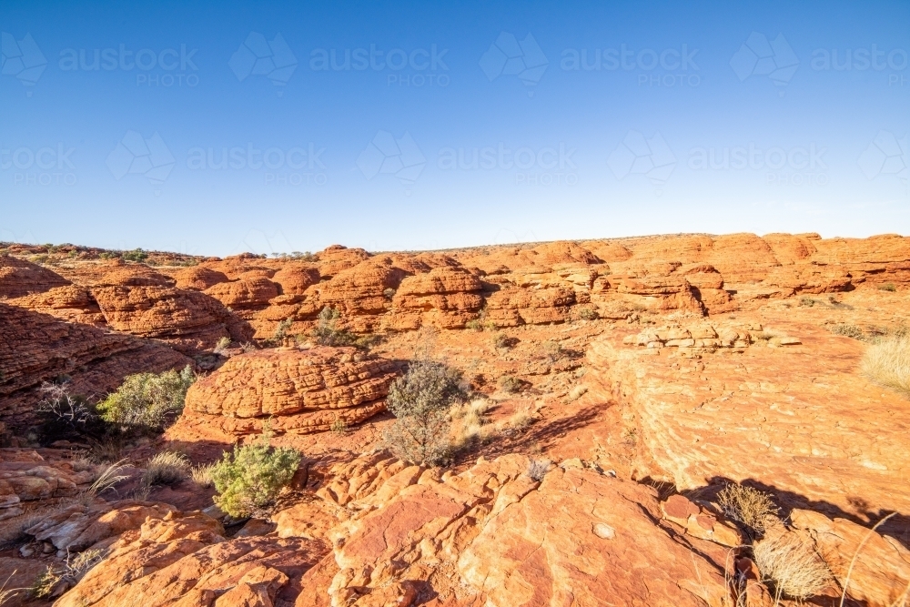 Lookout over the canyon of red arid earth in the bright sun - Australian Stock Image