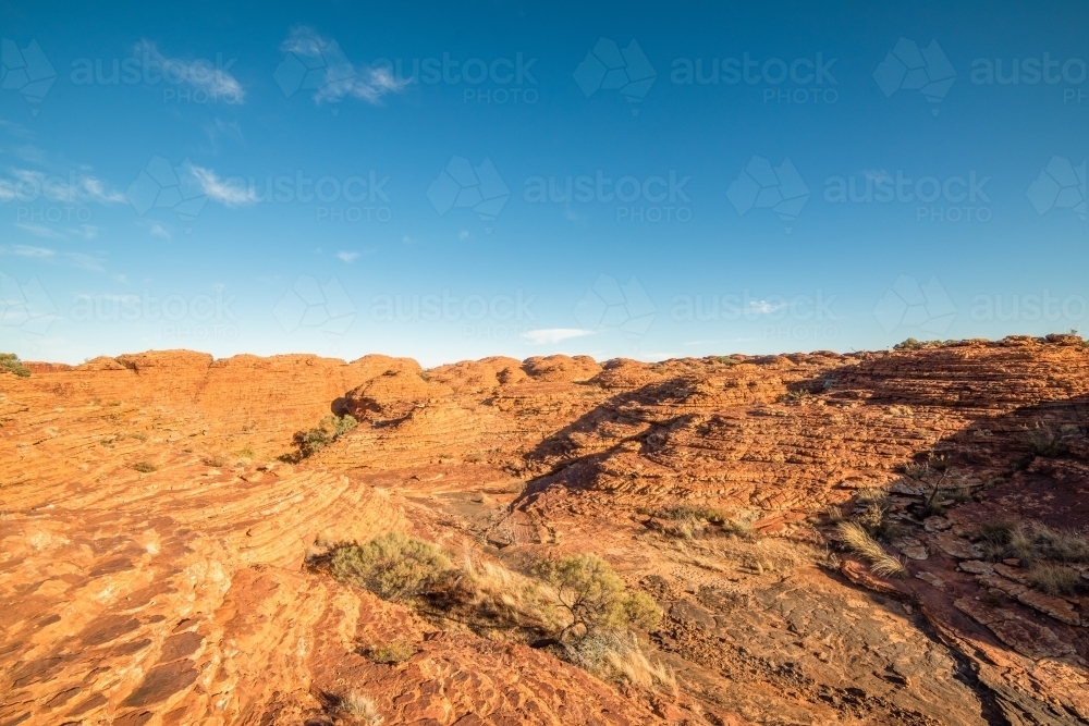 Lookout over the canyon of red arid earth in the bright sun - Australian Stock Image