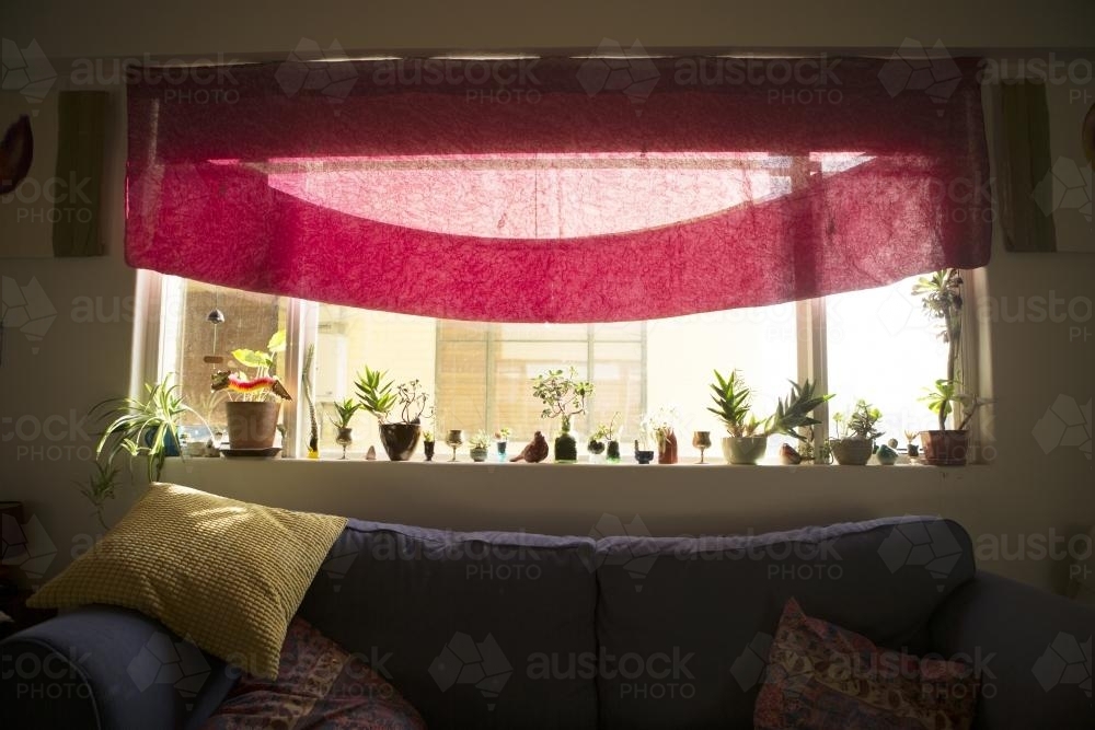 Lounge window with indoor plants - Australian Stock Image