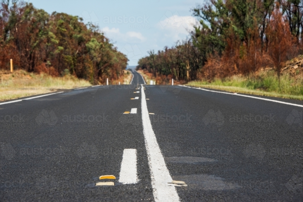Low angle along an Australian road after a bushfire - Australian Stock Image
