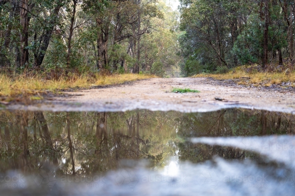 Low angle over puddle of water on dirt track - Australian Stock Image