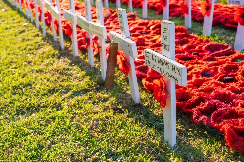 Low angled view of rows of crocheted red poppies and white crosses in memorial - Australian Stock Image