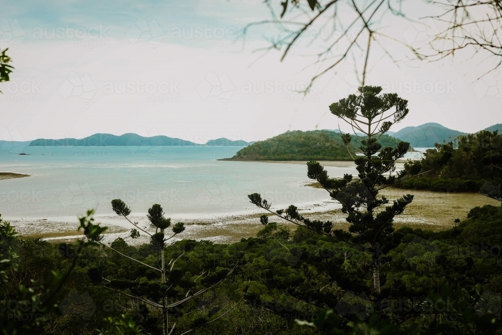 Low tide at Shute Harbour in the Whitsundays - Australian Stock Image