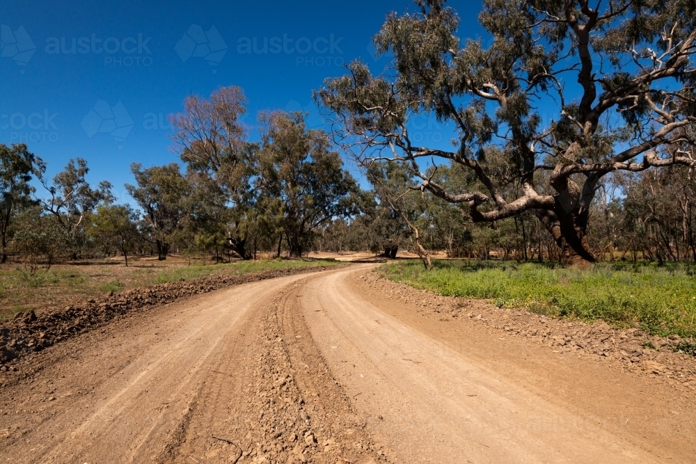 low view along a graded dirt road to a bend with trees and blue sky. - Australian Stock Image