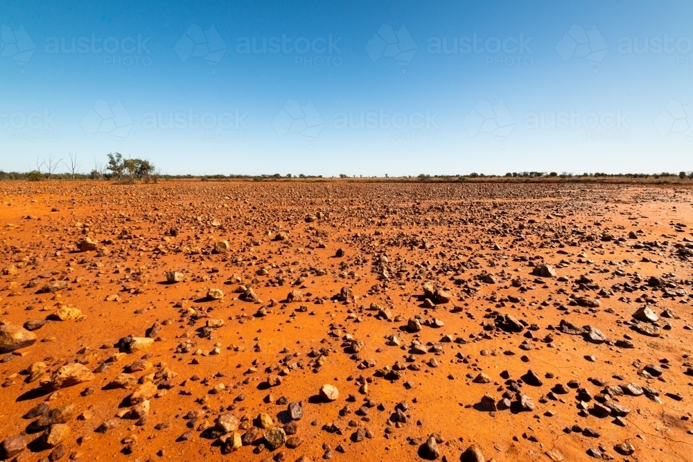 Low view of stony desert country with gibbers, orange soil and clear blue sky - Australian Stock Image