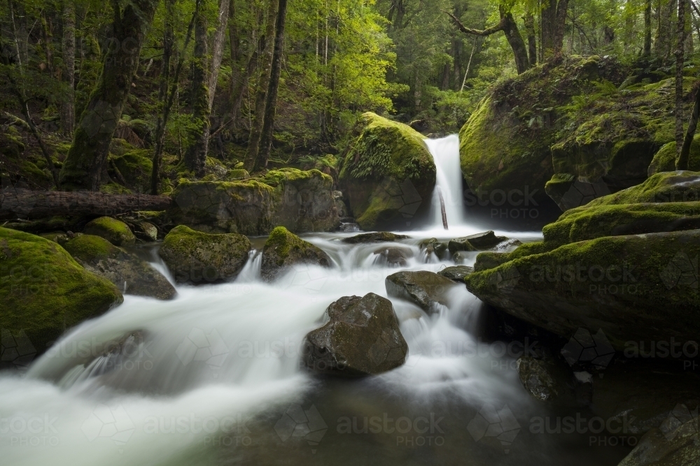 Lower Chasm Falls - Tasmania - Australian Stock Image