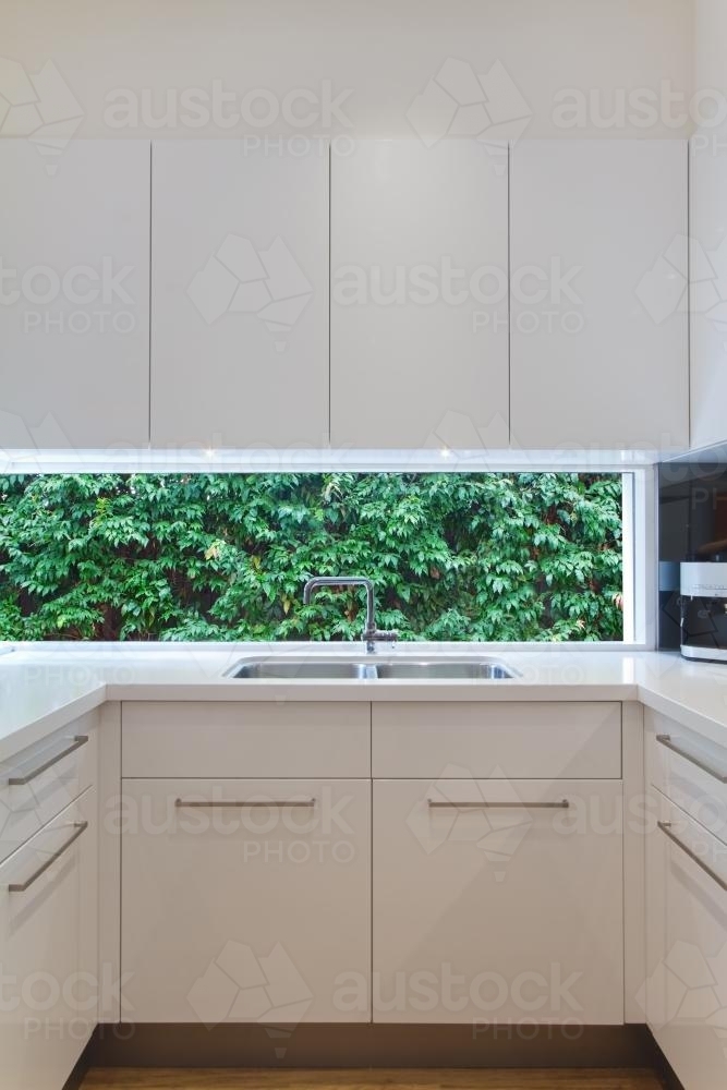 Lowlife kitchen window outlook to formal garden greenery - Australian Stock Image