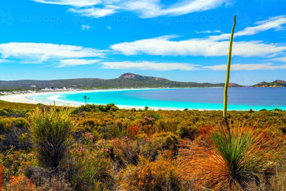Lucky Bay in Western Australia. - Australian Stock Image