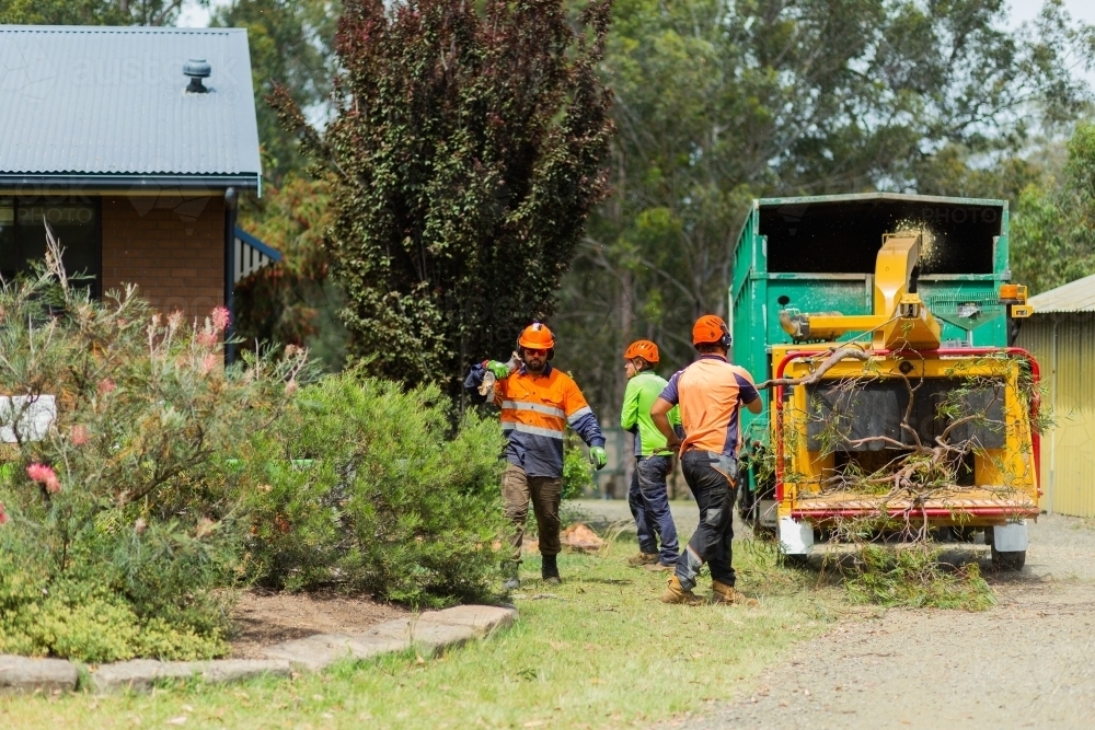 Lumberjacks feeding branches into wood chipping machine on the job - Australian Stock Image