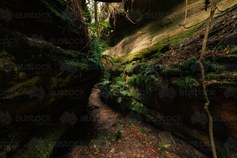 Lush greenery surrounded by sandstone cliffs at Fern Gully in the Bylong Valley, NSW - Australian Stock Image