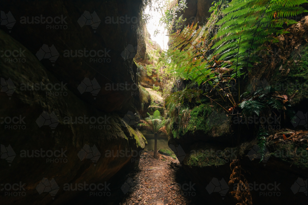 Lush greenery surrounded by sandstone cliffs at Fern Gully in the Bylong Valley, NSW - Australian Stock Image