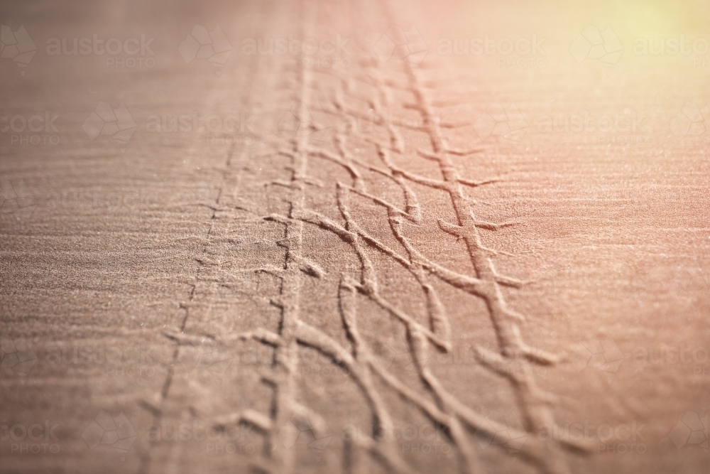 Macro shot of tyre tracks on sand - Australian Stock Image