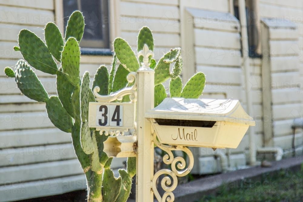 Mailbox with a prickly pear plant growing next to it - Australian Stock Image