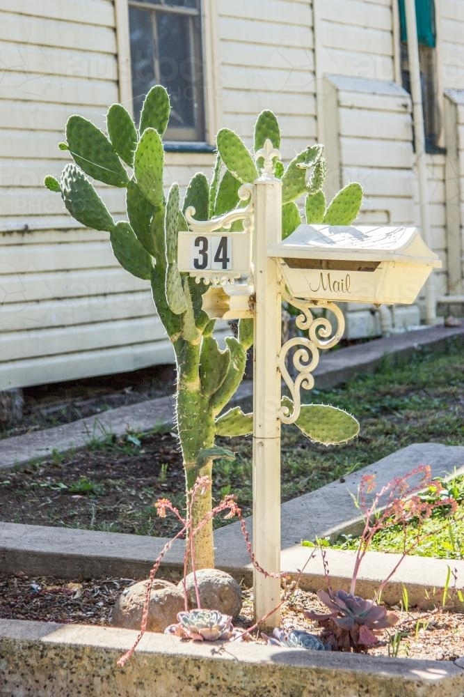 Mailbox with a prickly pear plant growing next to it - Australian Stock Image