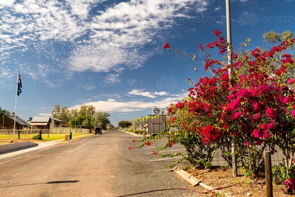 Main Street of a remote country town with cerise bougainvillea in foreground and blue sky with cloud - Australian Stock Image