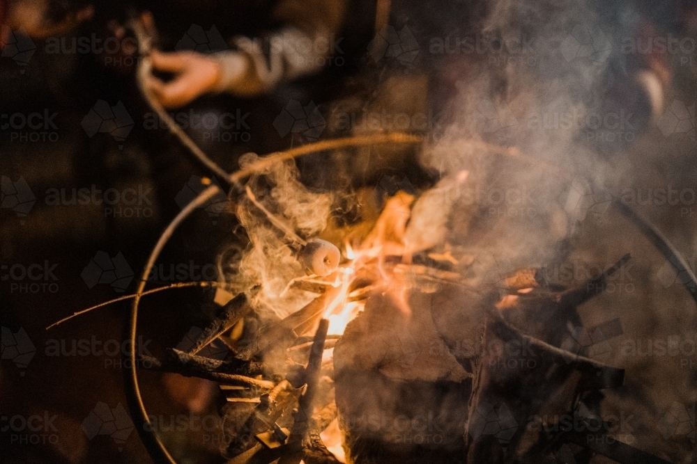 Making S'mores - Australian Stock Image