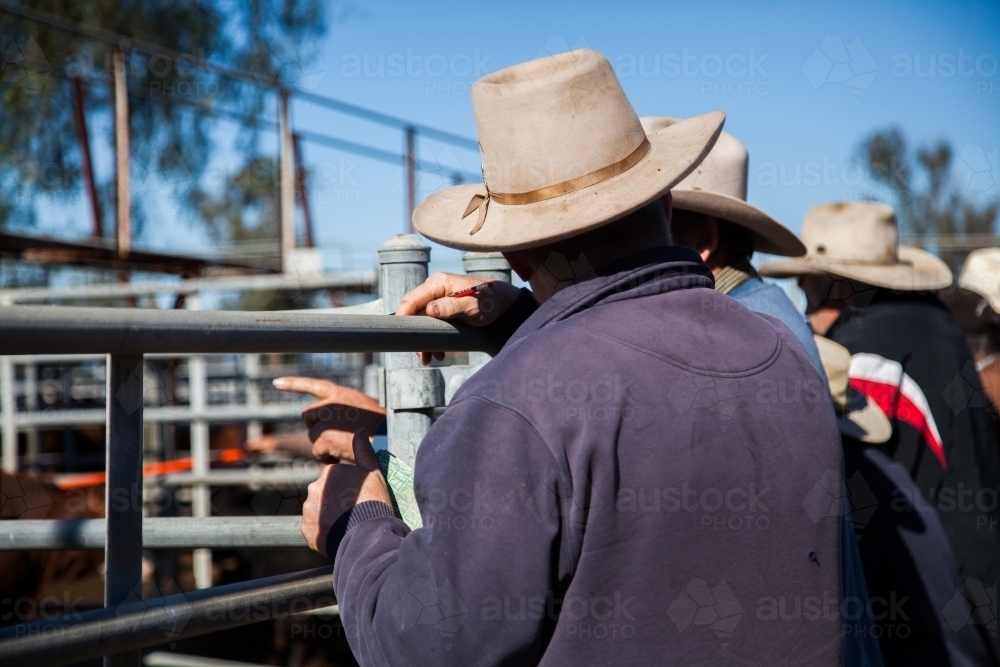 Male farmers talking together at sale yards - Australian Stock Image