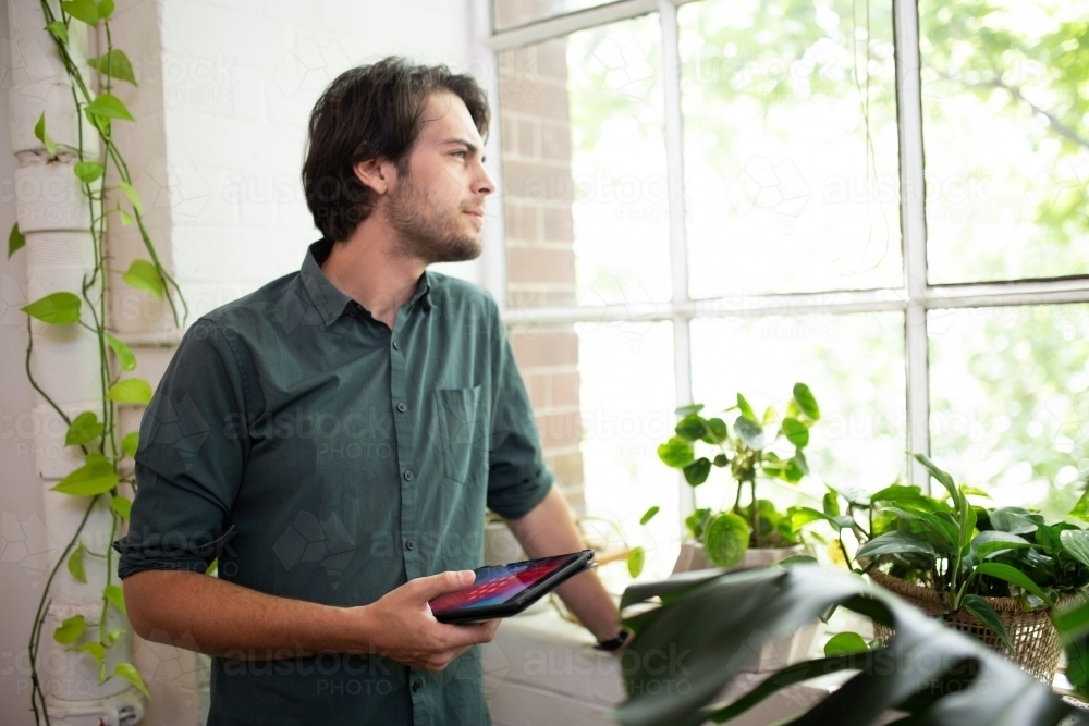 Male in creative industry looking through paned glass windows - Australian Stock Image