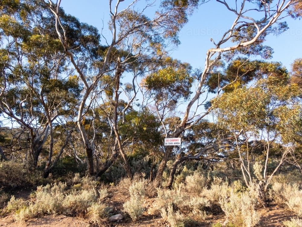 Deep Rural Area Trees Image of mallee trees and saltbush in rural area with a small sign that ...