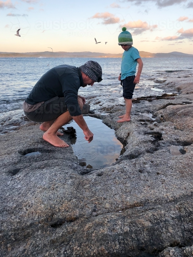 Man and child playing in rock pool at sunset with ocean and seagulls in background - Australian Stock Image