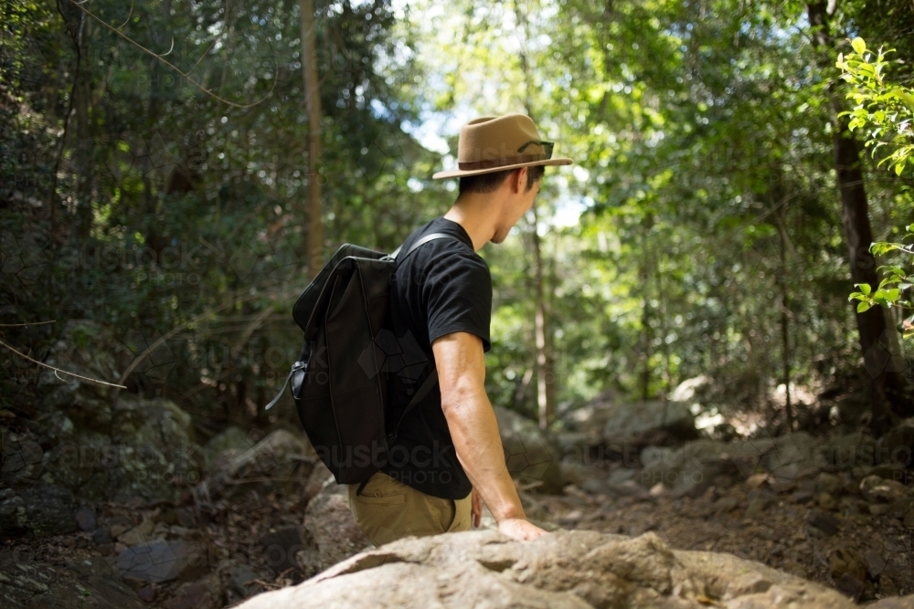 Man bush walking - Australian Stock Image
