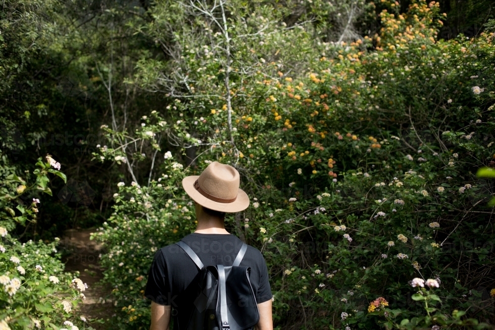 Man bush walking - Australian Stock Image