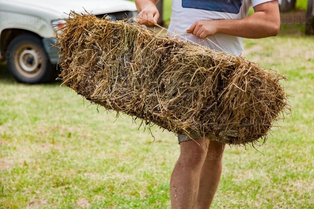 Man carrying square bale of hay around farm - Australian Stock Image