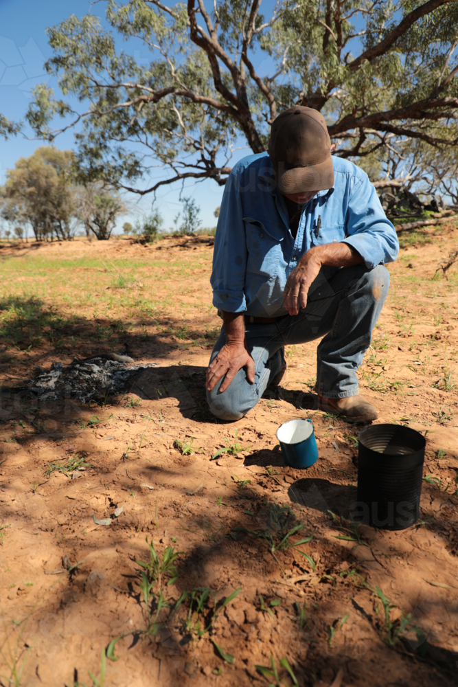 Man finishing a cup of billy tea - Australian Stock Image