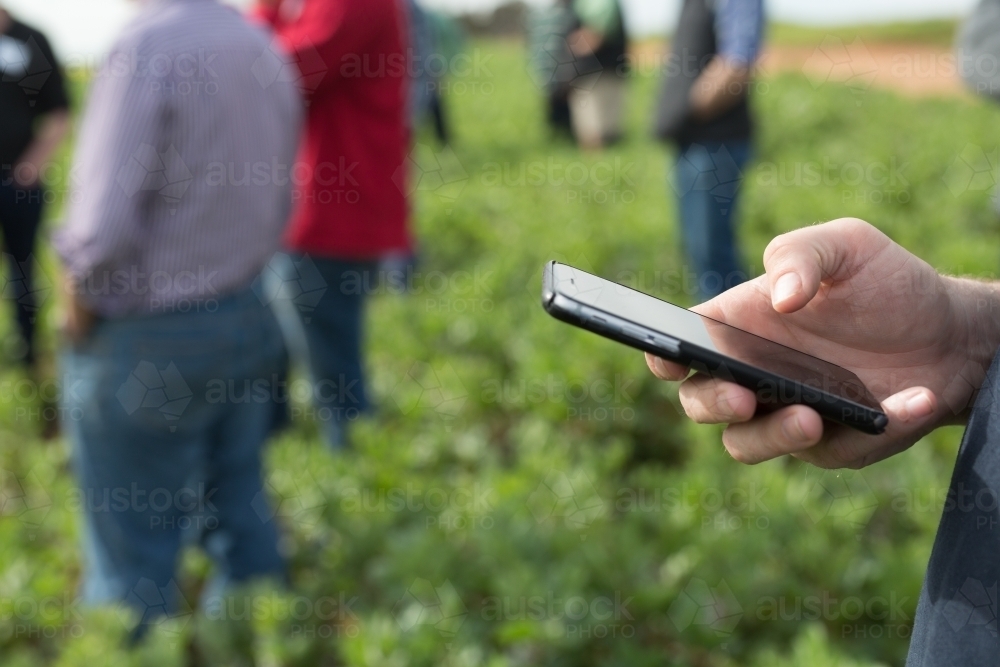 Man holding a mobile phone at a field day - Australian Stock Image