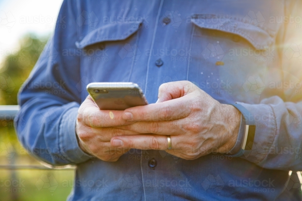 Man holding iPhone outside with sun flare - Australian Stock Image