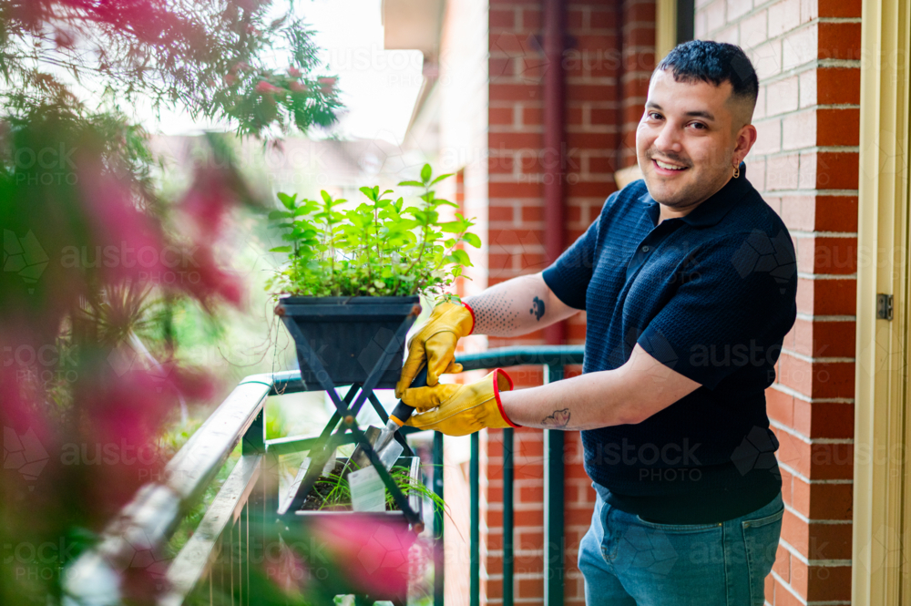 Man in his 30s enjoys tending to a vertical herb garden on his apartment balcony, smiling contently - Australian Stock Image