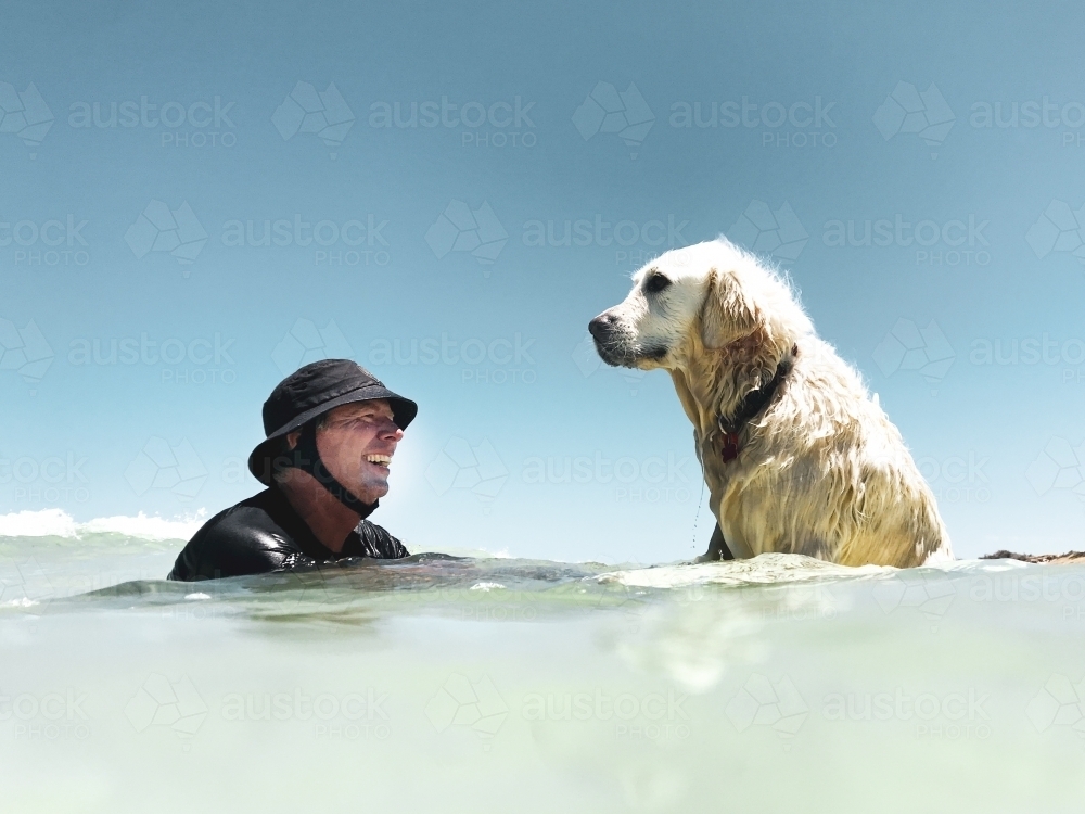 Man in surf hat with Labrador dog in the ocean looking at each other - Australian Stock Image