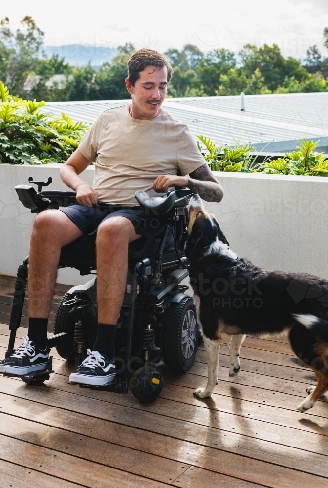 man in wheelchair on outdoor patio with his dog - Australian Stock Image