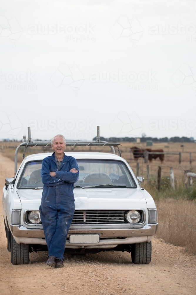 Man leans on car bonnet with cows in the background. - Australian Stock Image
