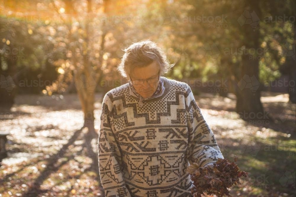Man looking down and holding autumn leaves in the park - Australian Stock Image