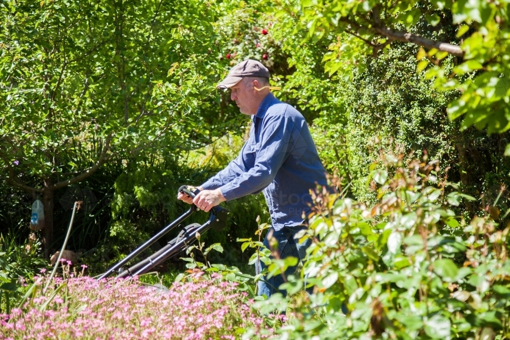 Man mowing the garden lawn with a push mower - Australian Stock Image