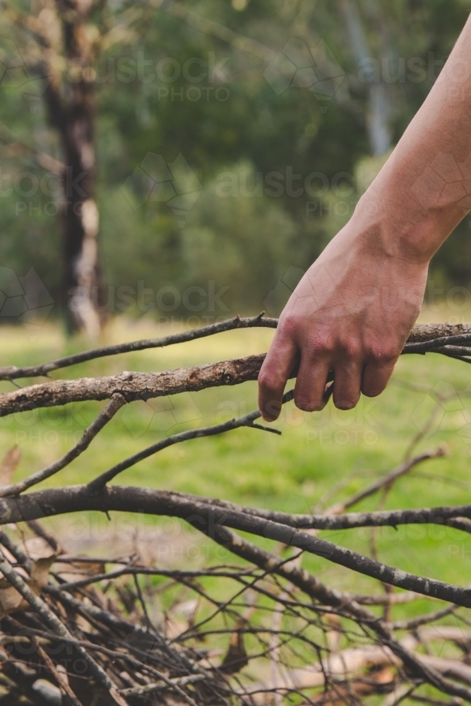 Man placing branch on camp fire kindling pile in outback - Australian Stock Image
