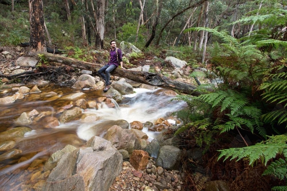 Man relaxing in rainforest by a clear flowing stream - Australian Stock Image
