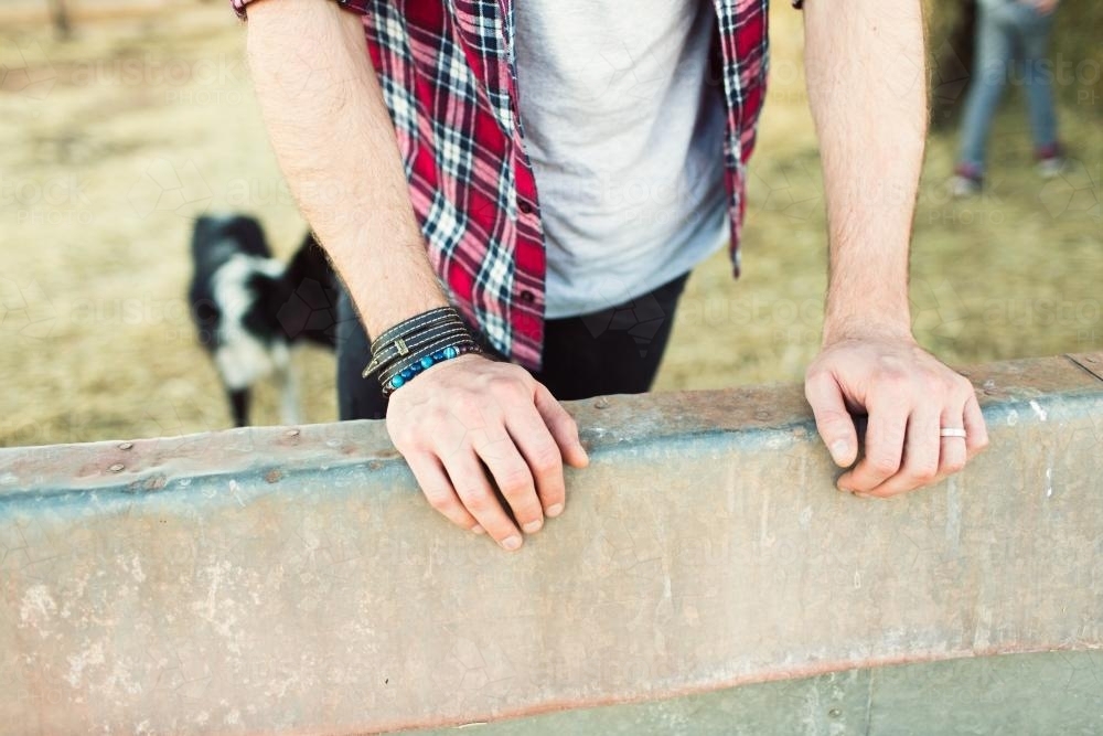 man's hands leaning on a steel barrier on a farm - Australian Stock Image