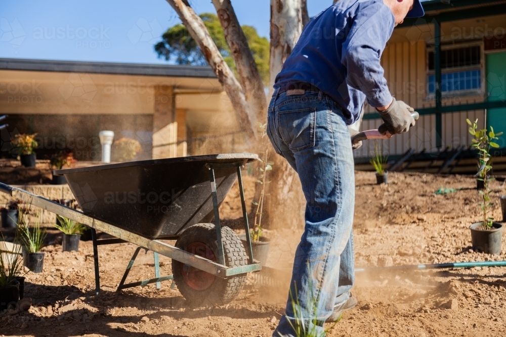 Man shoveling dry dusty dirt into a wheelbarrow, gardening - Australian Stock Image