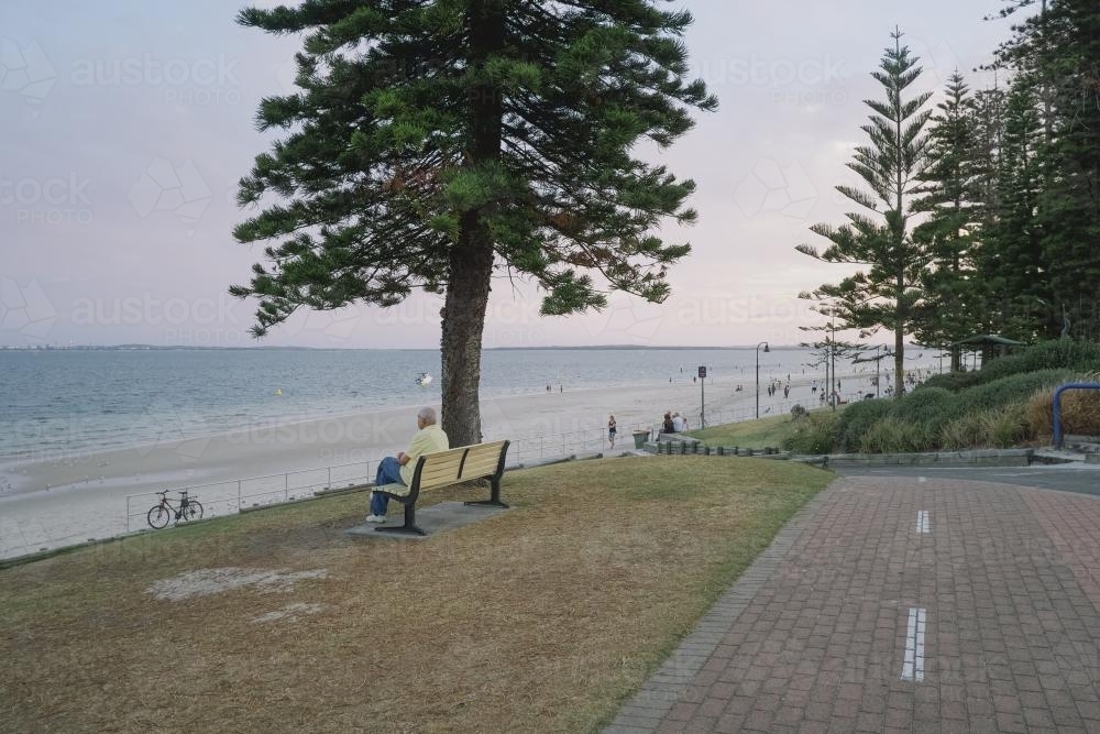 Man sitting at park bench taking in the view over the bay - Australian Stock Image