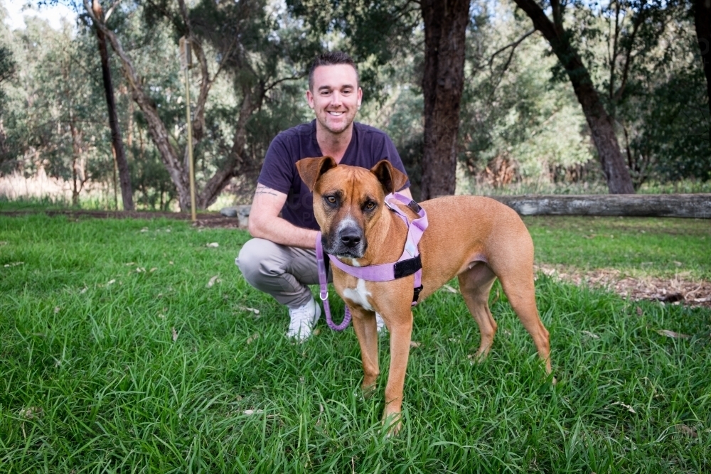 Man sitting behind crossbreed dog smiling at dog in park - Australian Stock Image