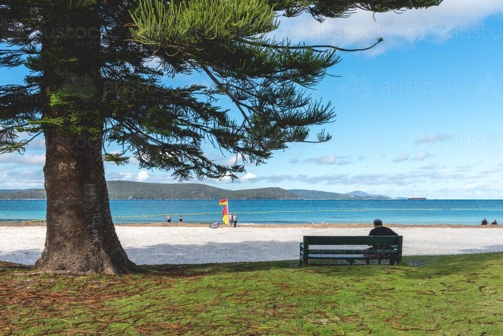 Man sitting on a bench at a typical Australian beach - Australian Stock Image