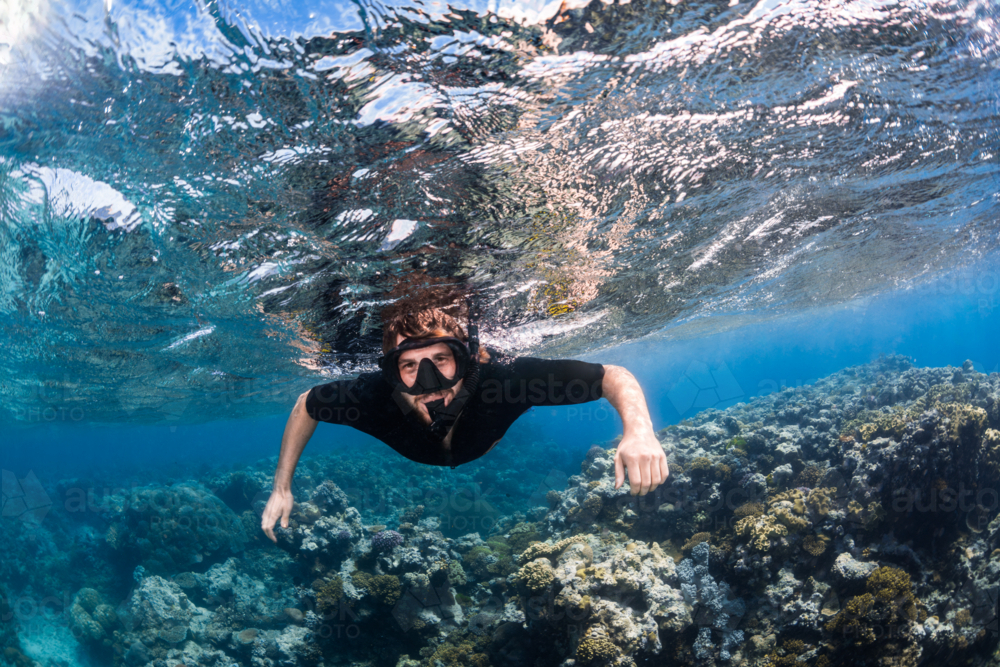 Man snorkelling with corals on a sunny day on the Great Barrier Reef - Australian Stock Image
