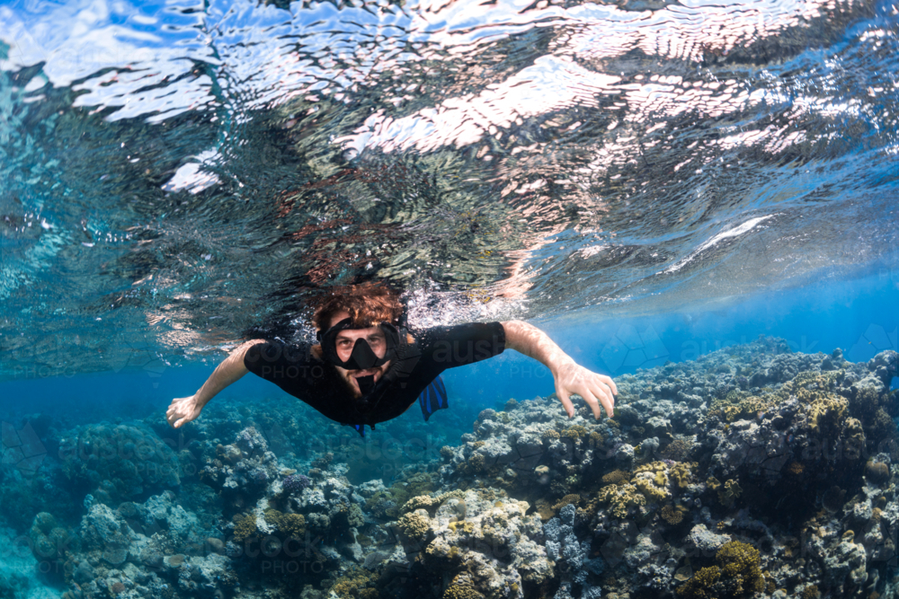 Man snorkelling with corals on a sunny day on the Great Barrier Reef - Australian Stock Image