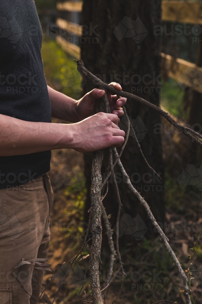 Man standing beside fence in afternoon, holding kindling firewood - Australian Stock Image