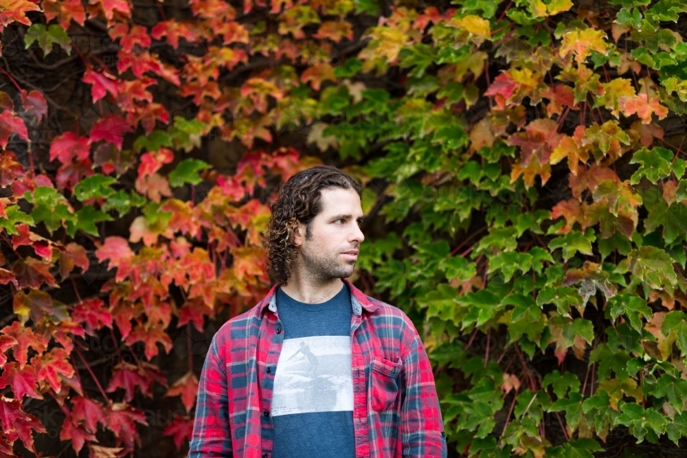 Man standing in front of changing autumn leaves - Australian Stock Image